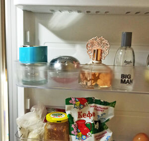 Вещи и продукты, которые лучше хранить в холодильнике