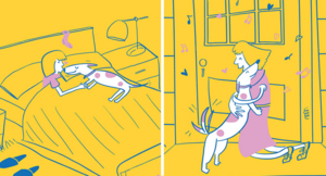 Жизнь хозяйки собаки в 10 очаровательных иллюстрациях