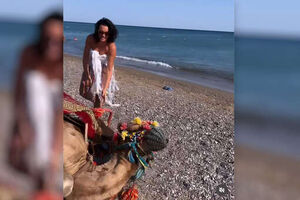 Верблюд упал под весом певицы Славы в Турции