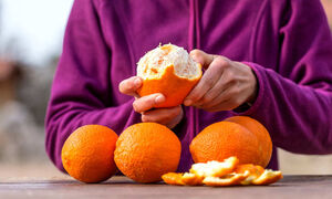Как сделать ароматизатор из апельсиновых корок