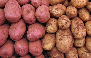 Чем отличаются розовый и белый картофель: что подойдет для жарки, а что - для пюре
