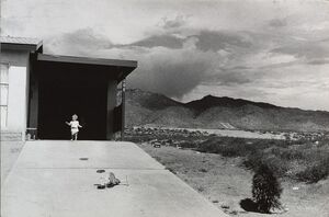 Америка 1960-х в объективе классика уличной фотографии Гарри Виногранда