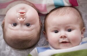 У кого больше шансов родить двойню, или 13 малоизвестных фактов о близнецах