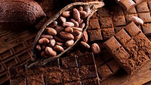 Польза какао для здоровья женщины