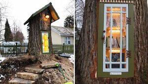 Американка превратила 110-летнее сухое дерево в маленькую библиотеку для всей округи