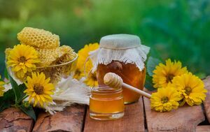 Мёд в сотах: можно ли есть пчелиный воск