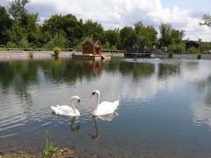 Скандальный корпоратив в городском парке Вольска. Наказание ...