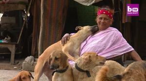 После развода эта женщина живет счастливой жизнью, спасая 400 бродячих собак.