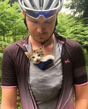 Велосипедисты встретили в лесу кошечку – они ещё не знали, насколько она милая