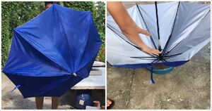 Посмотрите, как неординарно умелец смог применить старый зонтик на дачном участке