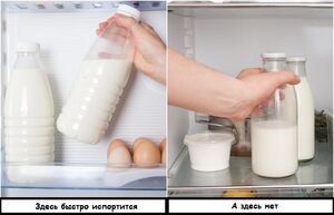 10 ошибок хранения в холодильнике, из-за которых продукты приходится выкидывать раньше срока
