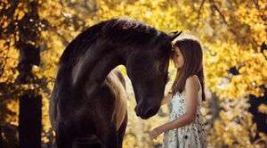 Почему девушки одержимы лошадьми