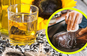 Подсолнечное масло для ухода за обувью, и еще 6 способов использовать его вне кухни