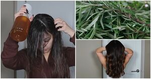 Секрет длинных волос — в розмарине! Эликсир для волос