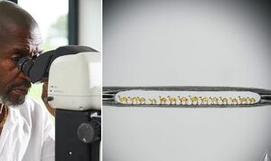 В школе он был аутсайдером, а потом покорил мир скульптурами, которые можно увидеть только под микро