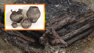 Что нашли археологи в 3000-летнем таинственном колодце желаний, обнаруженном недавно в Германии