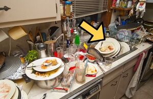 Находчивая хозяйка придумала скоростной способ, как перемыть всю посуду в доме за считанные минуты