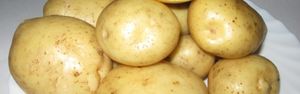 Сорт картофеля Адретта — описание вида, уход и другие важные аспекты + фото
