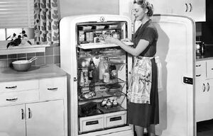 20 ретро фотографий о том, чтобы было в холодильниках американцев в 1950-1960-х годах