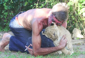 Трогательная история 11 лет дружбы между львом и его любимым смотрителем