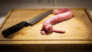 Музей отвратительной еды в Швеции - черви в сыре, мыши в водке и прочие «радости желудка»