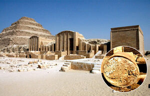 Учёные раскрыли тайну 3000-летнего сыра из египетской гробницы