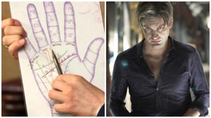 Узнать альфа-мужчину по длине пальцев, или О чем говорят руки