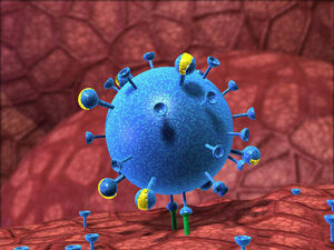 Вирус толкает весь организм приходить в активное состояние — искать смысл жизни