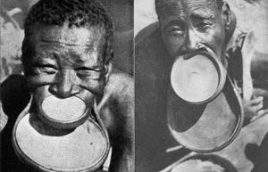 Для чего африканки растягивают губы: Ученые уже сто лет спорят о странном обычае