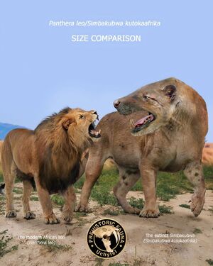 Сравнения размеров доисторических животных с их сегодняшними родственниками 