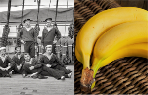 Почему моряки в старину боялись брать с собой на борт самые обычные бананы