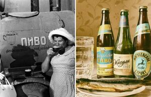 История советского пива «Жигулевское»: откуда оно взялось и как обрело популярность