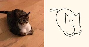 Художник-любитель находит смешные фото котов в интернете и превращает их в забавные карикатуры