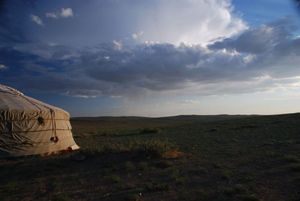 Проказы монгольских археологов