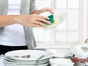 Чем заменить средства для мытья посуды