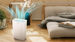Ионизатор воздуха для квартиры: польза и вред