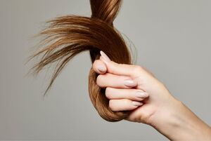 Знания, которые помогут предотвратить сечение волос. Подробный план