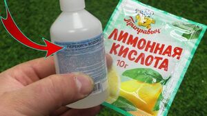 Как избавиться от ржавчины при помощи лимонной кислоты и перекиси водорода