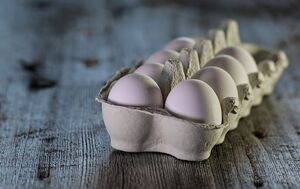 Что нужно добавить в воду при варке свежих яиц, чтобы скорлупа слетала с них сама: повар раскрыла секрет