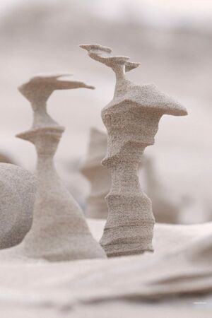 Сильный ветер создал из замерзающего песка удивительные колонны
