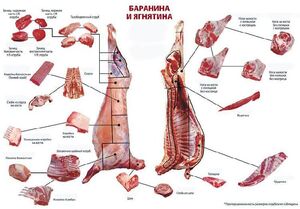 Полезная информация – правила использования частей туши в приготовлении блюд!