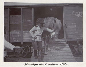 1903. Л.-гв. Московский полк на манёврах под Псковом.