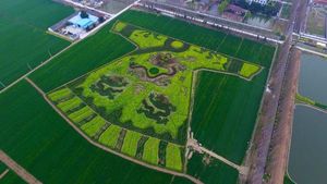 Наш ответ инопланетянам: китайцы создают потрясающие рисунки на полях