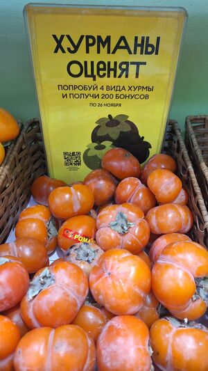Жизнь опережает мечту