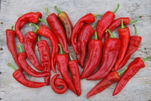 Как лучше замедлить старение: попробуйте простые продукты