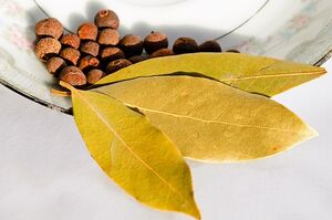 Зачем жечь лавровые листья дома. Должна знать каждая хозяйка
