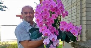 Как добиться пышного цветения орхидей
