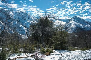 Прогулка по Altos de Licray, Chile