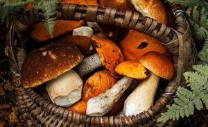 Продукты для повышения иммунитета