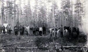 1912-1913. Экспедиция на Дальнем Востоке
